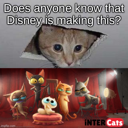 Ceiling Cat | Does anyone know that Disney is making this? | image tagged in memes,ceiling cat | made w/ Imgflip meme maker