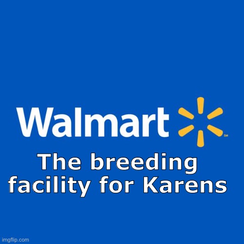 “HEY GIVE ME MY PARKING SPOT BACK!!!” | The breeding facility for Karens | image tagged in walmart life,karen,lol | made w/ Imgflip meme maker
