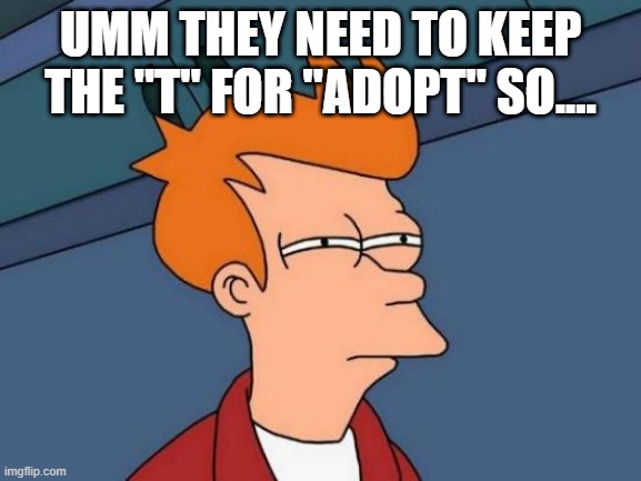 Futurama Fry Meme | UMM THEY NEED TO KEEP THE "T" FOR "ADOPT" SO.... | image tagged in memes,futurama fry | made w/ Imgflip meme maker