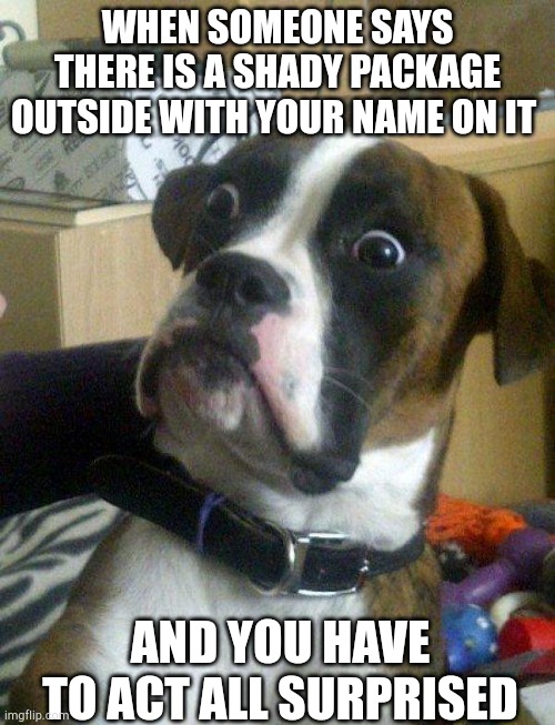 Blankie the Shocked Dog | WHEN SOMEONE SAYS THERE IS A SHADY PACKAGE OUTSIDE WITH YOUR NAME ON IT; AND YOU HAVE TO ACT ALL SURPRISED | image tagged in blankie the shocked dog | made w/ Imgflip meme maker