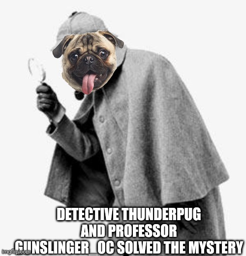 detective | DETECTIVE THUNDERPUG AND PROFESSOR GUNSLINGER_OC SOLVED THE MYSTERY | image tagged in detective | made w/ Imgflip meme maker