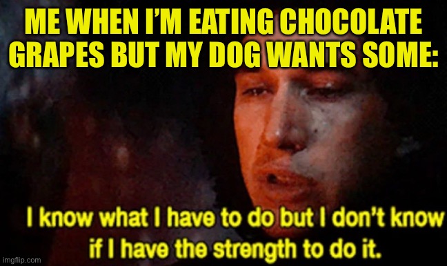 I’m sorry!!!!!!!! | ME WHEN I’M EATING CHOCOLATE GRAPES BUT MY DOG WANTS SOME: | image tagged in i know what i have to do but i don t know if i have the strength | made w/ Imgflip meme maker