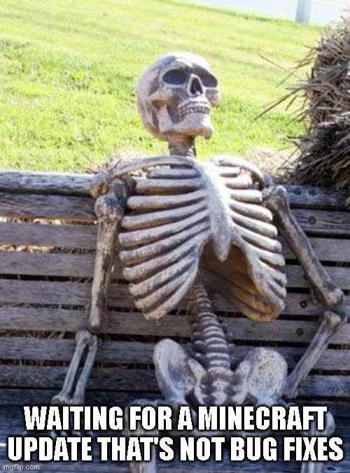 minecraft updates | WAITING FOR A MINECRAFT UPDATE THAT'S NOT BUG FIXES | image tagged in memes,waiting skeleton | made w/ Imgflip meme maker