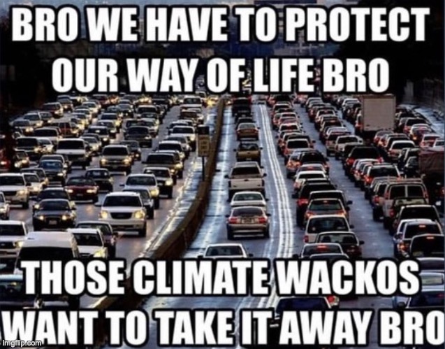 Just add one more lane bro. | image tagged in climate change,cars,traffic | made w/ Imgflip meme maker