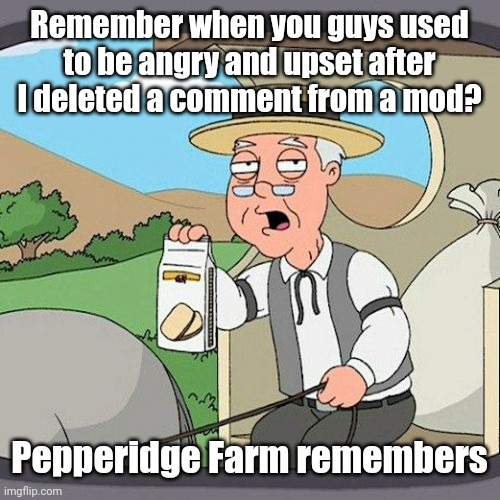 Not a spam, but please forgive me after I deleted a comment from a mod | Remember when you guys used to be angry and upset after I deleted a comment from a mod? Pepperidge Farm remembers | image tagged in memes,pepperidge farm remembers,iceu | made w/ Imgflip meme maker