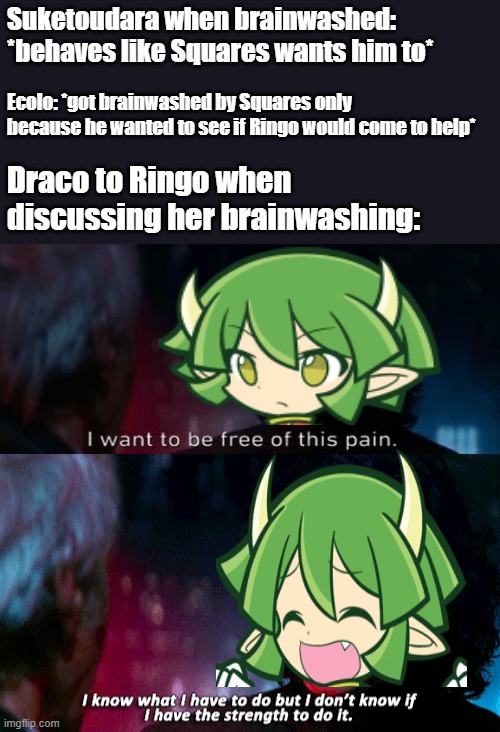 Draco's being torn apart. | Suketoudara when brainwashed: *behaves like Squares wants him to*; Ecolo: *got brainwashed by Squares only because he wanted to see if Ringo would come to help*; Draco to Ringo when discussing her brainwashing: | image tagged in memes,star wars,kylo ren,puyo puyo,draco centauros,i want to be free of this pain | made w/ Imgflip meme maker