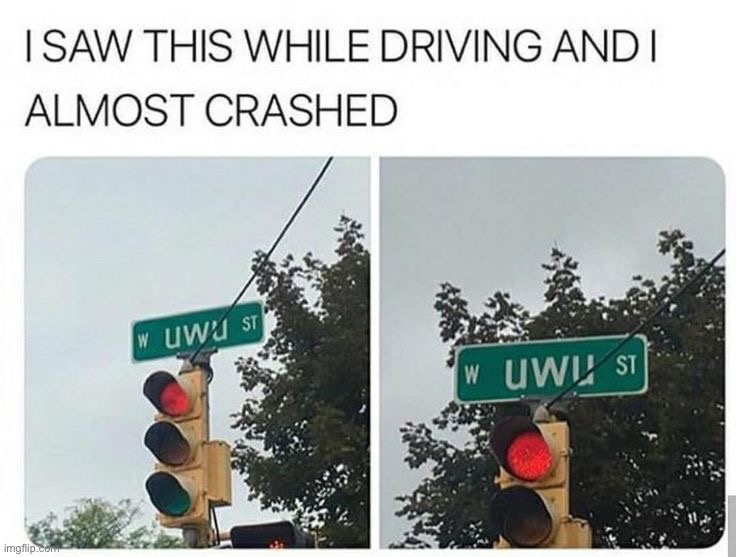 UwU Street | image tagged in memes,funny,uwu,furry,street signs | made w/ Imgflip meme maker