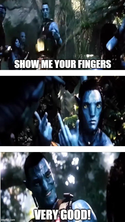 Show me your fingers | SHOW ME YOUR FINGERS; VERY GOOD! | image tagged in avatar | made w/ Imgflip meme maker