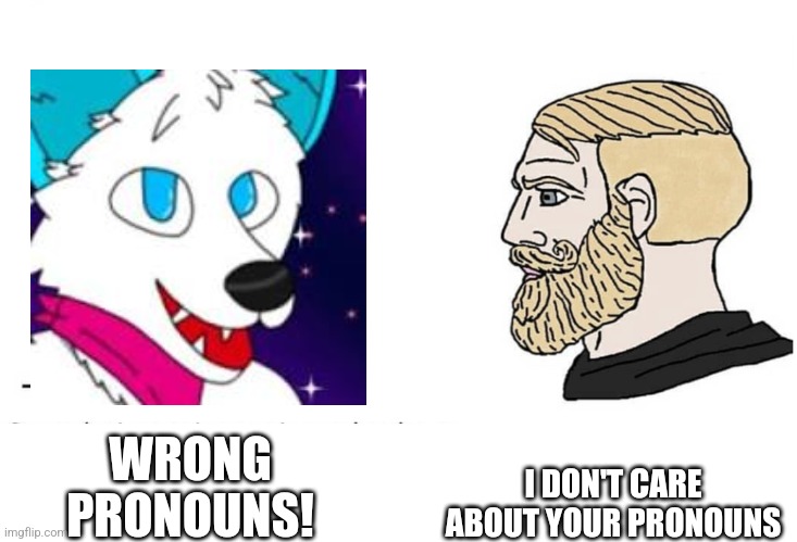 Soyboy Vs Yes Chad | I DON'T CARE ABOUT YOUR PRONOUNS; WRONG PRONOUNS! | image tagged in soyboy vs yes chad | made w/ Imgflip meme maker