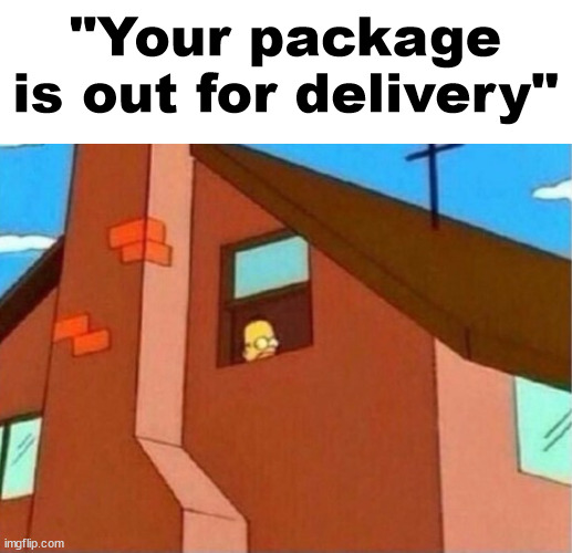 (me) | "Your package is out for delivery" | image tagged in homer simpson peeking window | made w/ Imgflip meme maker