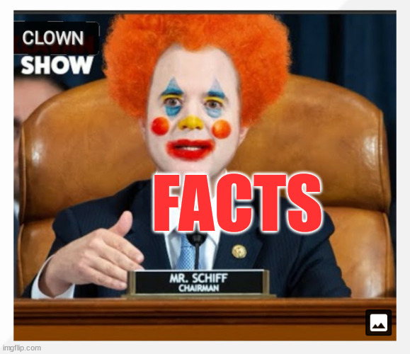 Shifty Schiff Clown Show | FACTS | image tagged in shifty schiff clown show | made w/ Imgflip meme maker