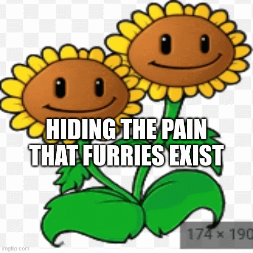 TEXT #2; HIDING THE PAIN THAT FURRIES EXIST | image tagged in gifs | made w/ Imgflip images-to-gif maker