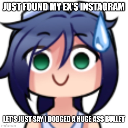 Like dead ass, thank god I don't gotta deal with her anymore | JUST FOUND MY EX'S INSTAGRAM; LET'S JUST SAY I DODGED A HUGE ASS BULLET | image tagged in pie charts | made w/ Imgflip meme maker