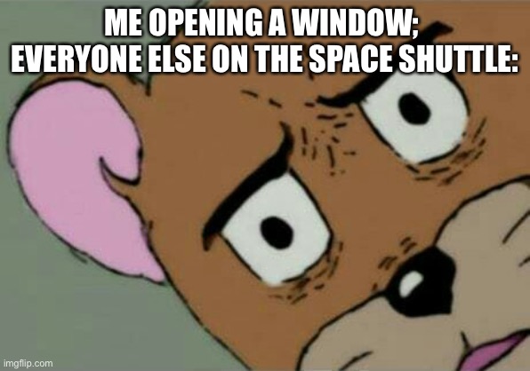 Unsettled Jerry | ME OPENING A WINDOW; 
EVERYONE ELSE ON THE SPACE SHUTTLE: | image tagged in unsettled jerry,space | made w/ Imgflip meme maker