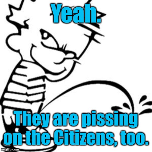 piss on you | Yeah. They are pissing on the Citizens, too. | image tagged in piss on you | made w/ Imgflip meme maker