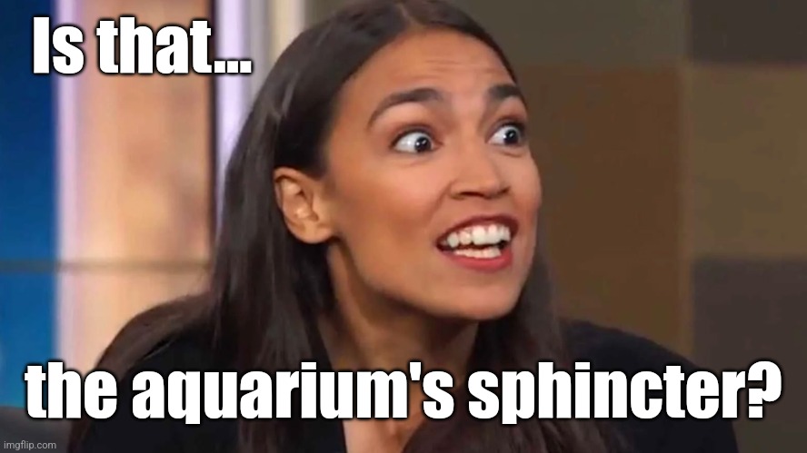 aoc Can you believe it ? | Is that... the aquarium's sphincter? | image tagged in aoc can you believe it | made w/ Imgflip meme maker