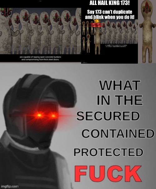 WHAT!?! | image tagged in what in the secured contained protected fuck tempalate,scp,173 duplication | made w/ Imgflip meme maker