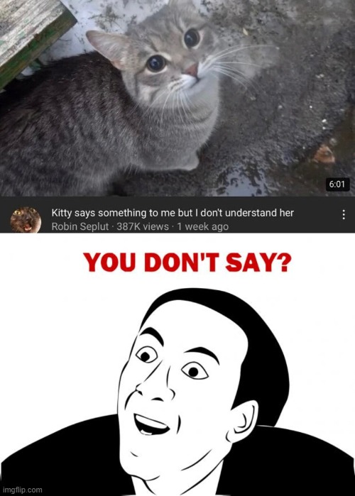 interesting video | image tagged in memes,you don't say | made w/ Imgflip meme maker