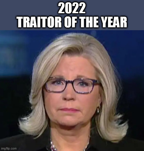 Traitor Liz Cheney | 2022
TRAITOR OF THE YEAR | image tagged in liz cheney,traitor,j6 | made w/ Imgflip meme maker