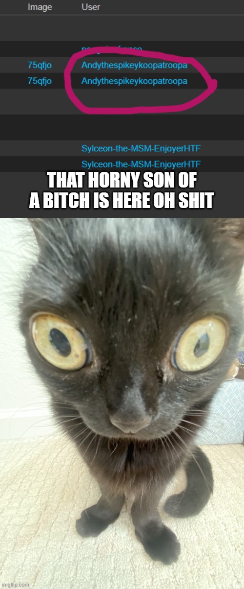 OAO | THAT HORNY SON OF A BITCH IS HERE OH SHIT | image tagged in bugeyed jinx | made w/ Imgflip meme maker