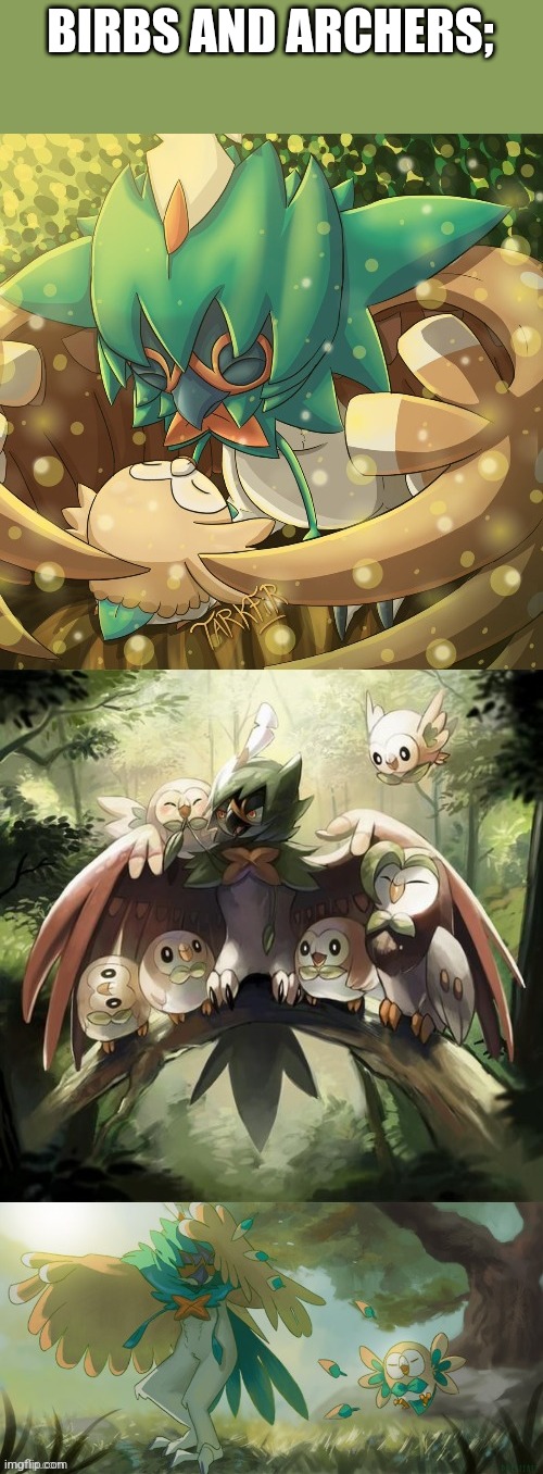 BIRBS AND ARCHERS; | image tagged in rowlet,decidueye | made w/ Imgflip meme maker