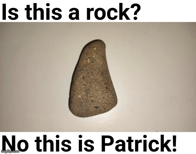 This is Patrick. | Is this a rock? No this is Patrick! | image tagged in no this is patrick,this is patrick,rock,is this a rock,patrick rock,memecraftia | made w/ Imgflip meme maker