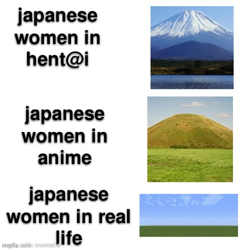 Japanese Woman in... | image tagged in japanese,woman,anime | made w/ Imgflip meme maker