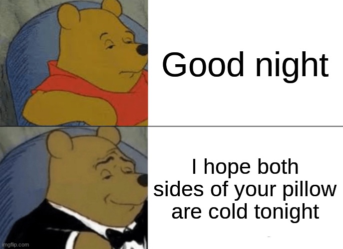 Tuxedo Winnie The Pooh | Good night; I hope both sides of your pillow are cold tonight | image tagged in memes,tuxedo winnie the pooh,good night,fancy pooh,respect | made w/ Imgflip meme maker