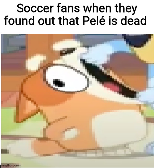 October 23 1940-December 29 2022 | Soccer fans when they found out that Pelé is dead | image tagged in bingo shouting,memes,pele,rip,soccer,sports | made w/ Imgflip meme maker