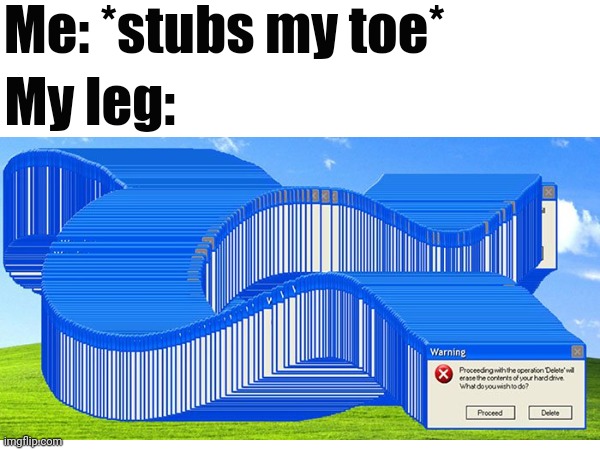 The toe |  Me: *stubs my toe*; My leg: | image tagged in toes,error,windows | made w/ Imgflip meme maker