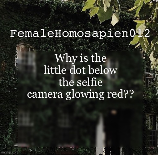 I’m scared | Why is the little dot below the selfie camera glowing red?? | image tagged in femalehomosapien012 | made w/ Imgflip meme maker