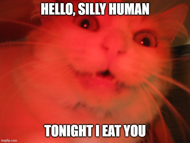 Demon cat | HELLO, SILLY HUMAN; TONIGHT I EAT YOU | image tagged in demon cat | made w/ Imgflip meme maker