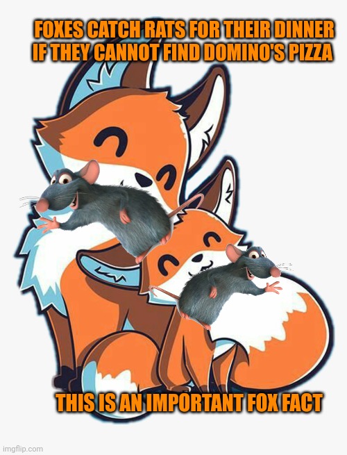 More popular trends | FOXES CATCH RATS FOR THEIR DINNER IF THEY CANNOT FIND DOMINO'S PIZZA; THIS IS AN IMPORTANT FOX FACT | image tagged in popular,fox,trends,foxes eat rats | made w/ Imgflip meme maker
