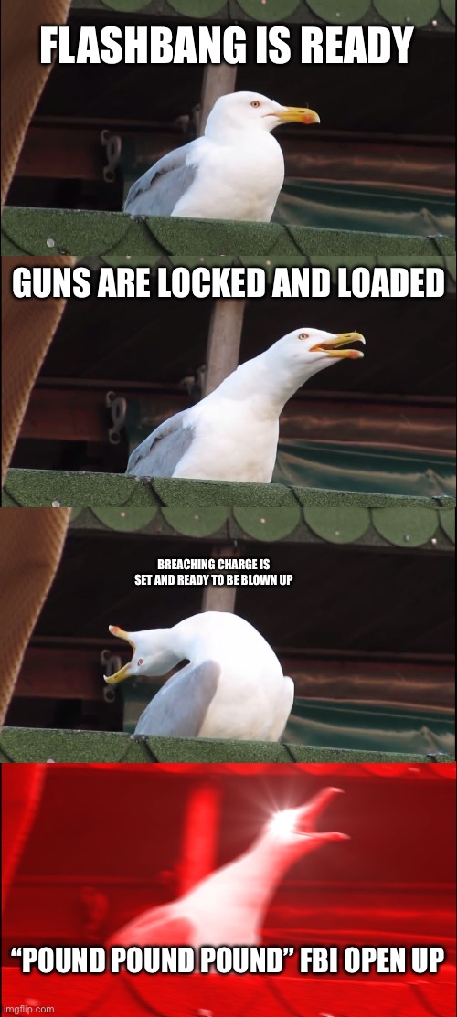 FBI SWAT team be like | FLASHBANG IS READY; GUNS ARE LOCKED AND LOADED; BREACHING CHARGE IS SET AND READY TO BE BLOWN UP; “POUND POUND POUND” FBI OPEN UP | image tagged in memes,inhaling seagull,fbi,swat,fbi swat | made w/ Imgflip meme maker