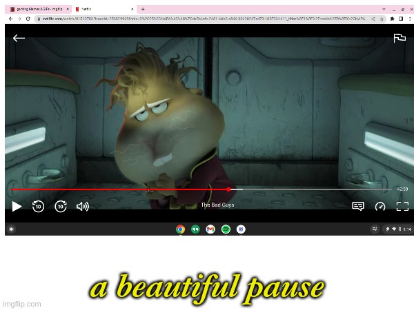 I paused it to go to the bathroom and got this | a beautiful pause | image tagged in beautiful | made w/ Imgflip meme maker