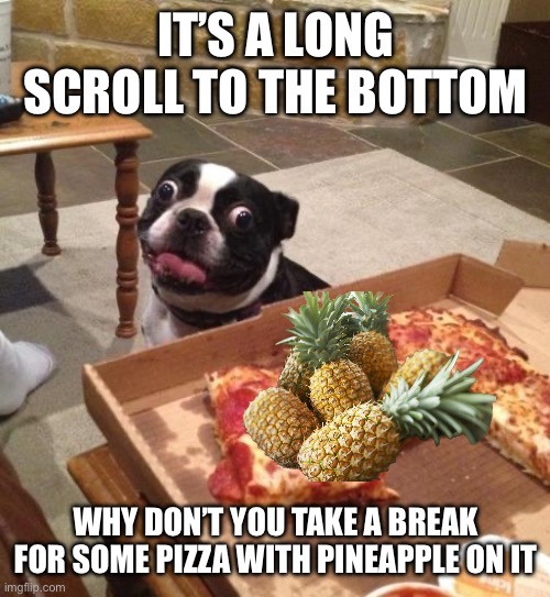 Heard I was going to get a frown goat | IT’S A LONG SCROLL TO THE BOTTOM; WHY DON’T YOU TAKE A BREAK FOR SOME PIZZA WITH PINEAPPLE ON IT | image tagged in hungry pizza dog,pineapple pizza | made w/ Imgflip meme maker