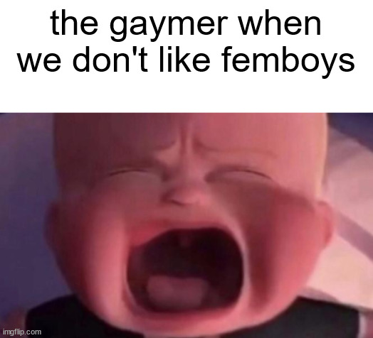 boss baby crying | the gaymer when we don't like femboys | image tagged in boss baby crying | made w/ Imgflip meme maker