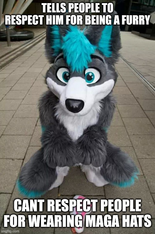 Furry | TELLS PEOPLE TO RESPECT HIM FOR BEING A FURRY CANT RESPECT PEOPLE FOR WEARING MAGA HATS | image tagged in furry | made w/ Imgflip meme maker