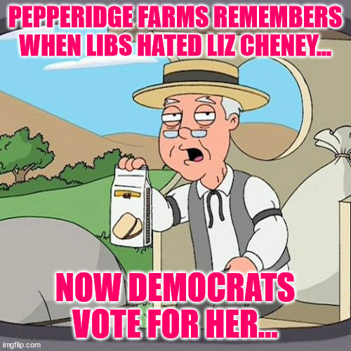 Pepperidge Farm Remembers Meme | PEPPERIDGE FARMS REMEMBERS WHEN LIBS HATED LIZ CHENEY... NOW DEMOCRATS VOTE FOR HER... | image tagged in memes,pepperidge farm remembers | made w/ Imgflip meme maker