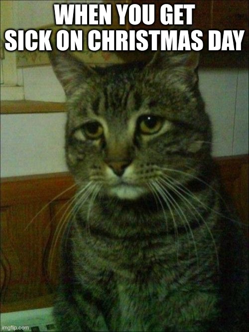pov you get sick on christmas day | WHEN YOU GET SICK ON CHRISTMAS DAY | image tagged in memes,depressed cat | made w/ Imgflip meme maker