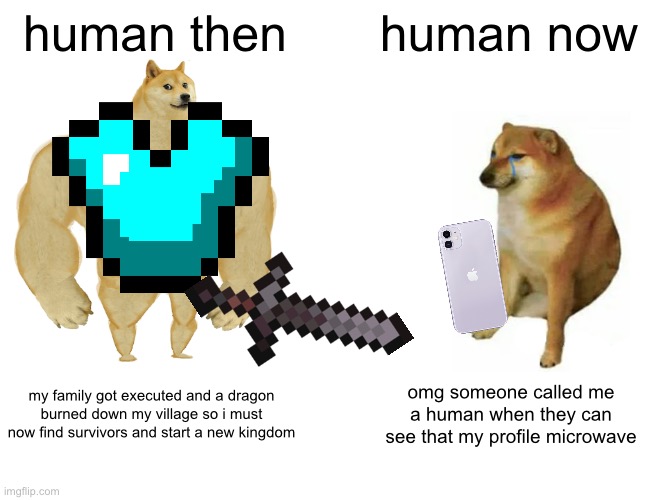 Buff Doge vs. Cheems | human then; human now; my family got executed and a dragon burned down my village so i must now find survivors and start a new kingdom; omg someone called me a human when they can see that my profile microwave | image tagged in memes,buff doge vs cheems,truth,so true memes,reality,human stupidity | made w/ Imgflip meme maker