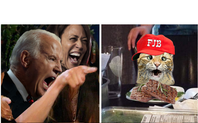 biden  yelling at ultra cat biden on left Blank Meme Template
