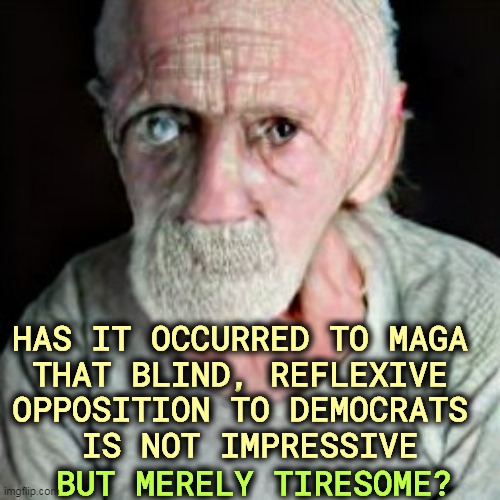 Unproductive and boring. America deserves better. | HAS IT OCCURRED TO MAGA 

THAT BLIND, REFLEXIVE 

OPPOSITION TO DEMOCRATS 
IS NOT IMPRESSIVE; BUT MERELY TIRESOME? | image tagged in maga,republican,opposition,democrats,tiresome | made w/ Imgflip meme maker