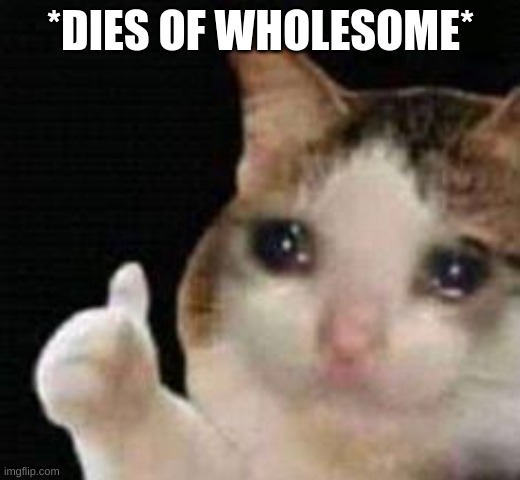 Approved crying cat | *DIES OF WHOLESOME* | image tagged in approved crying cat | made w/ Imgflip meme maker