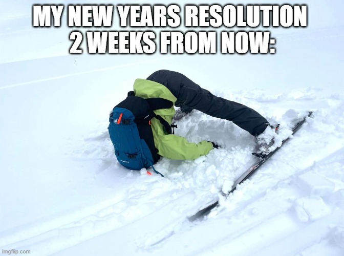 New years | MY NEW YEARS RESOLUTION 
2 WEEKS FROM NOW: | image tagged in new years resolutions | made w/ Imgflip meme maker