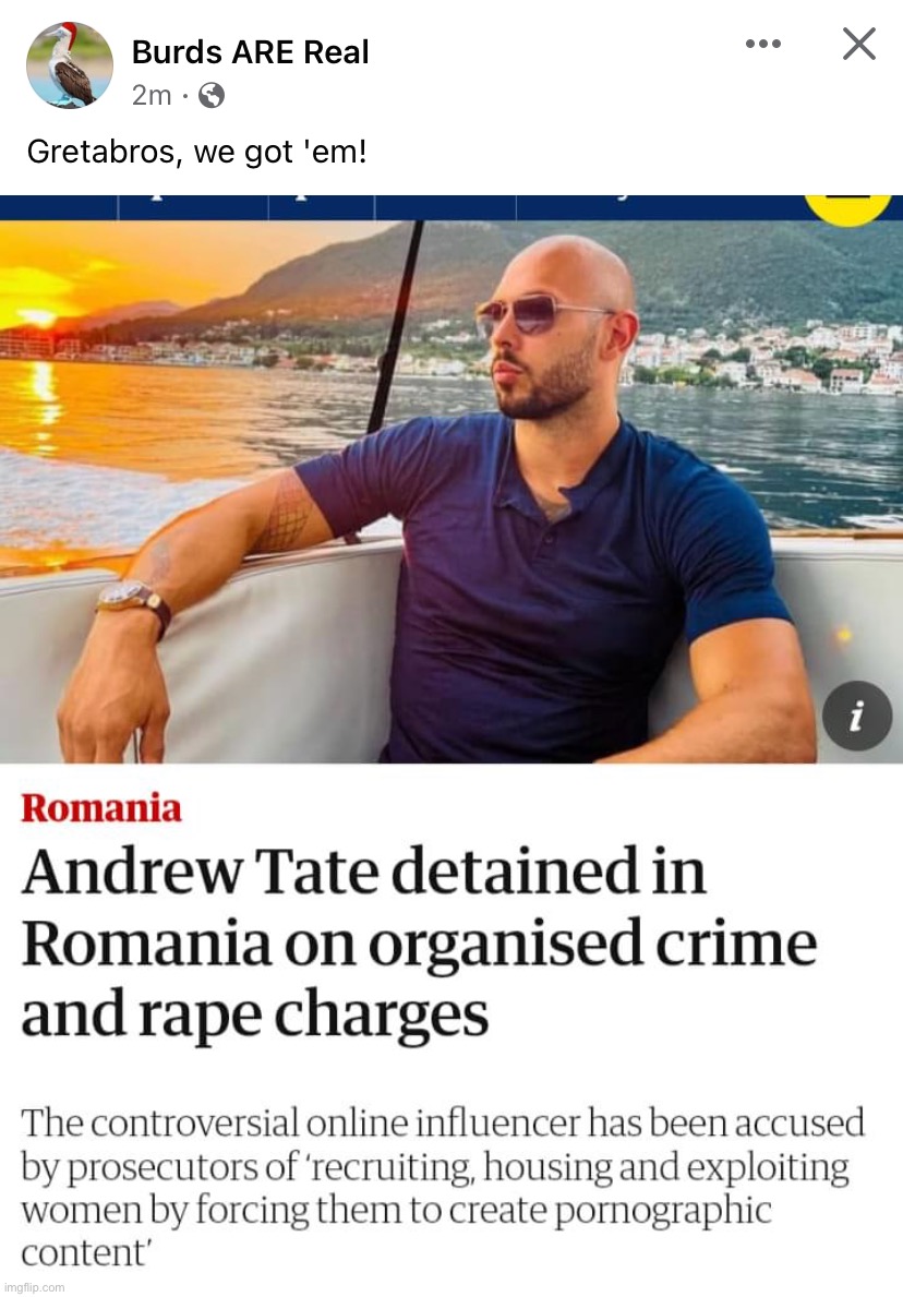 Burds are real and Andrew Tate is a rapist. Allegedly. Innocent until proven guilty | image tagged in andrew tate arrested,rapist,innocent,guilty,not,liberal logic | made w/ Imgflip meme maker