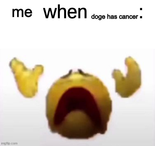 User When Offended: | me doge has cancer | image tagged in user when offended | made w/ Imgflip meme maker