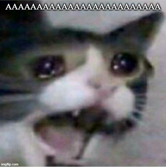 crying cat | AAAAAAAAAAAAAAAAAAAAAAAAA | image tagged in crying cat | made w/ Imgflip meme maker