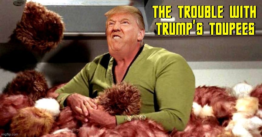 image tagged in star trek,tribbles,toupee,clown car republicans,donald trump the clown,wigs | made w/ Imgflip meme maker