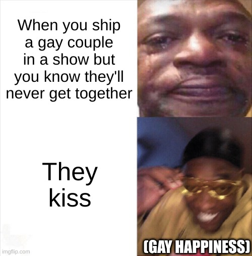 gay happiness | When you ship a gay couple in a show but you know they'll never get together; They kiss; (GAY HAPPINESS) | image tagged in sad happy | made w/ Imgflip meme maker